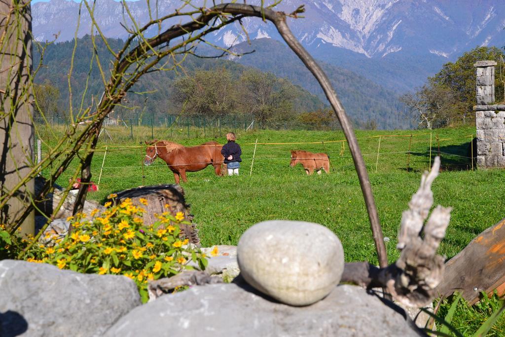 Holiday Farmhouse Skvor Robidisce Zewnętrze zdjęcie