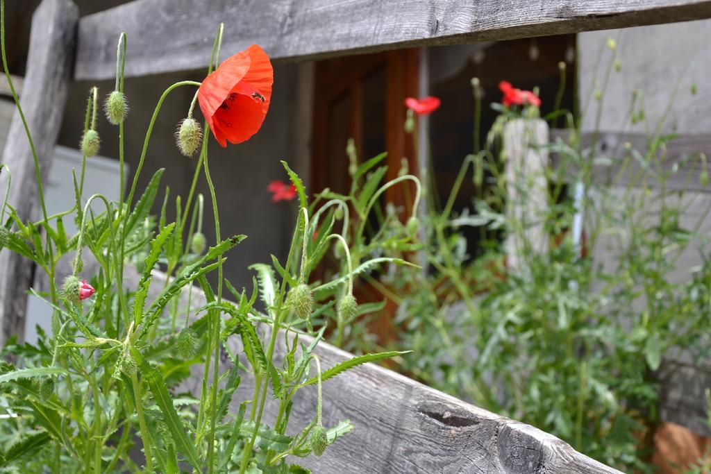 Holiday Farmhouse Skvor Robidisce Zewnętrze zdjęcie